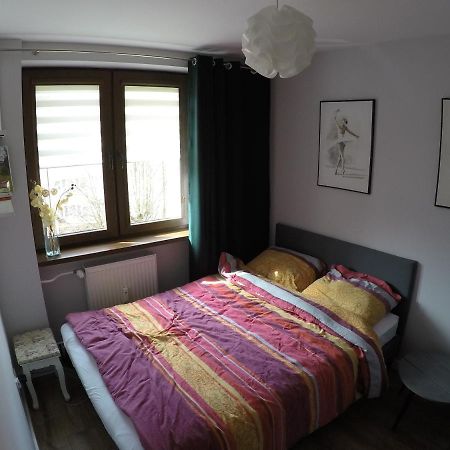 Апартаменти Apartament Bieszczady Устрики-Долішні Екстер'єр фото