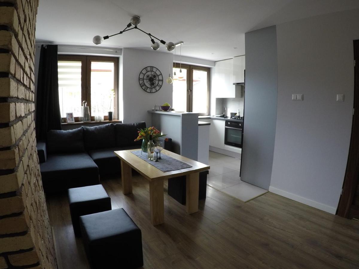 Апартаменти Apartament Bieszczady Устрики-Долішні Екстер'єр фото