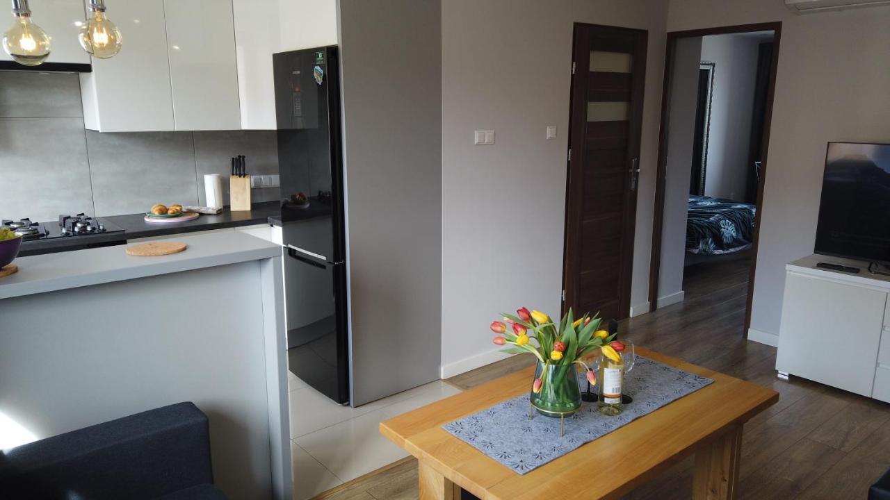 Апартаменти Apartament Bieszczady Устрики-Долішні Екстер'єр фото