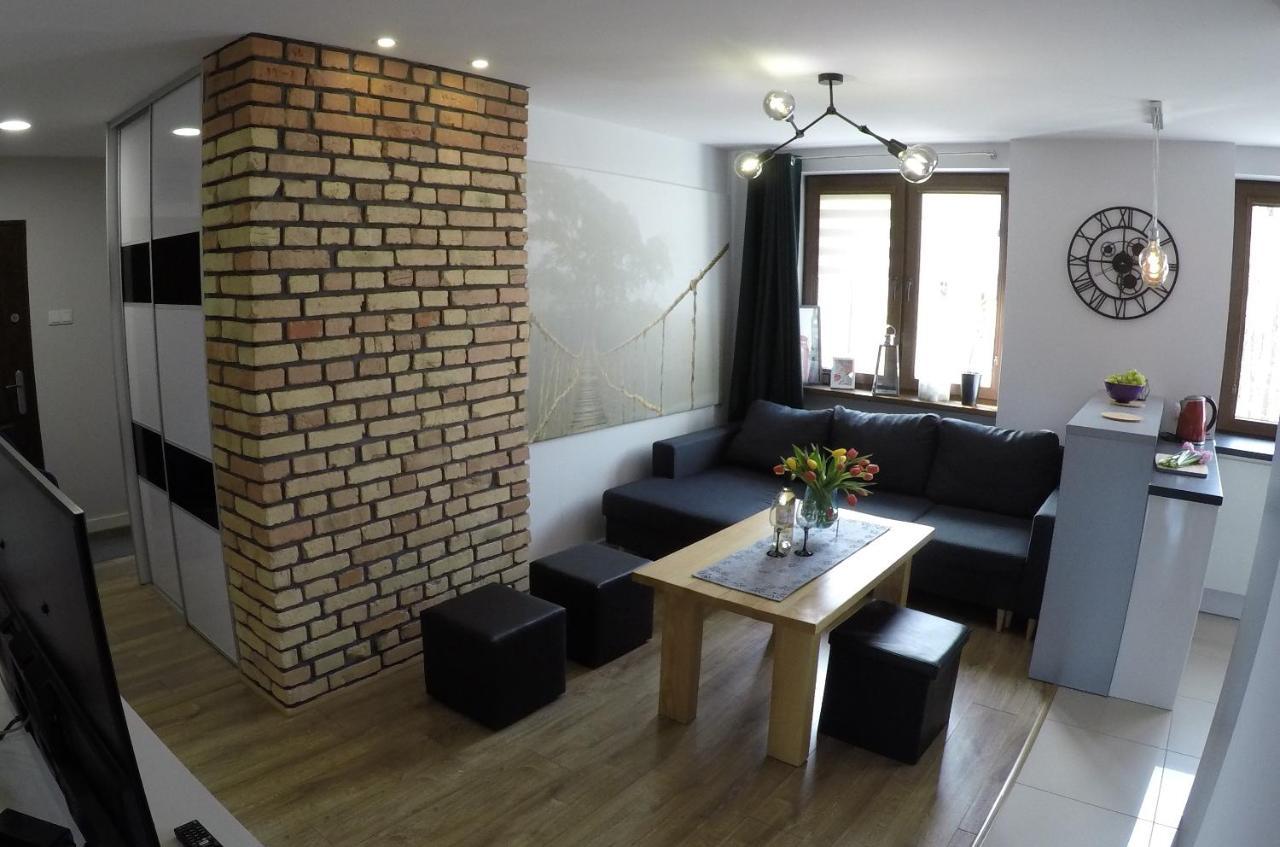 Апартаменти Apartament Bieszczady Устрики-Долішні Екстер'єр фото