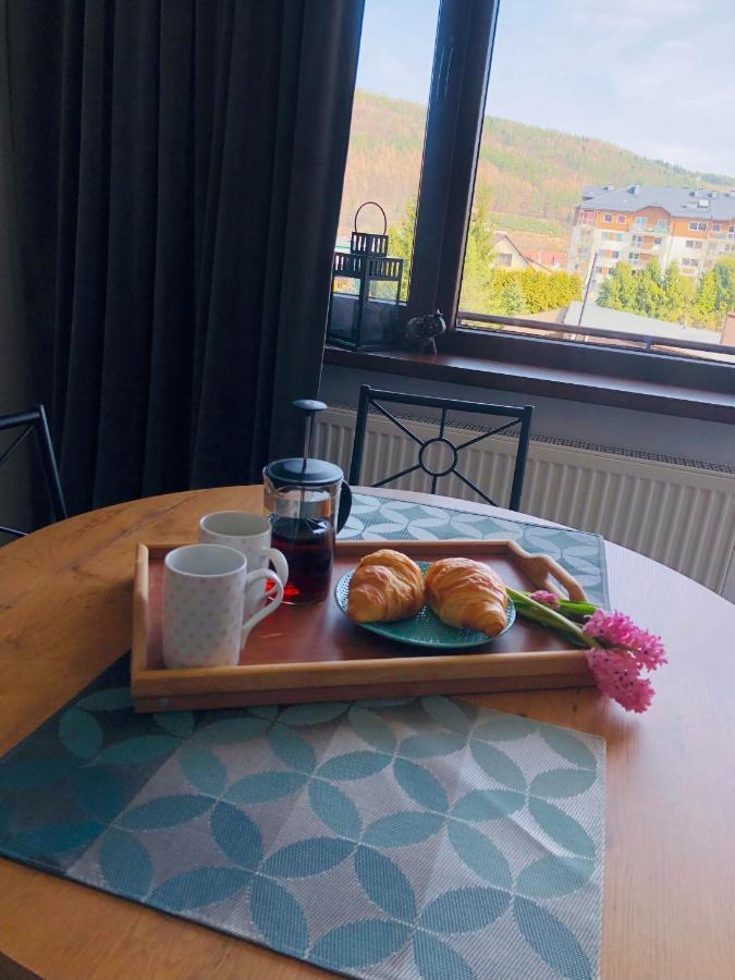 Апартаменти Apartament Bieszczady Устрики-Долішні Екстер'єр фото