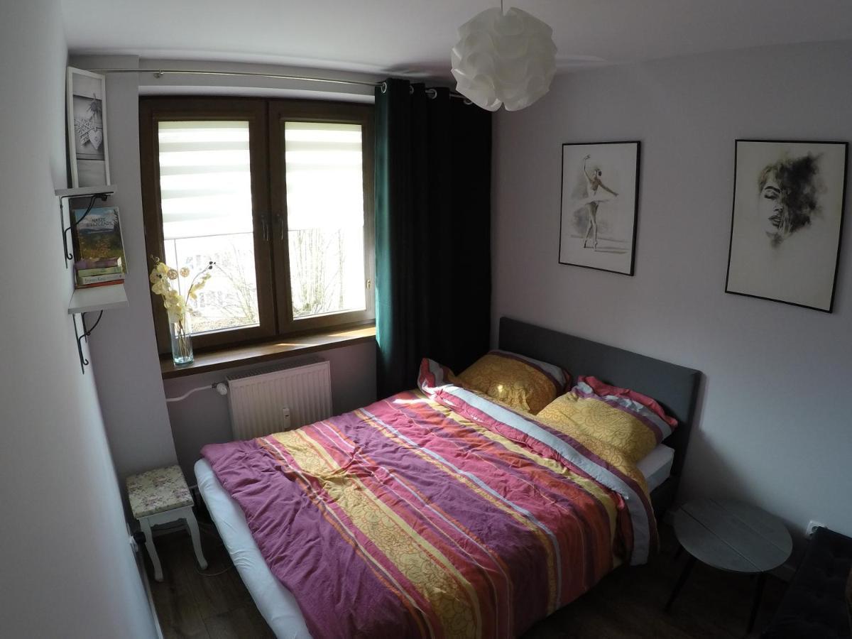 Апартаменти Apartament Bieszczady Устрики-Долішні Екстер'єр фото