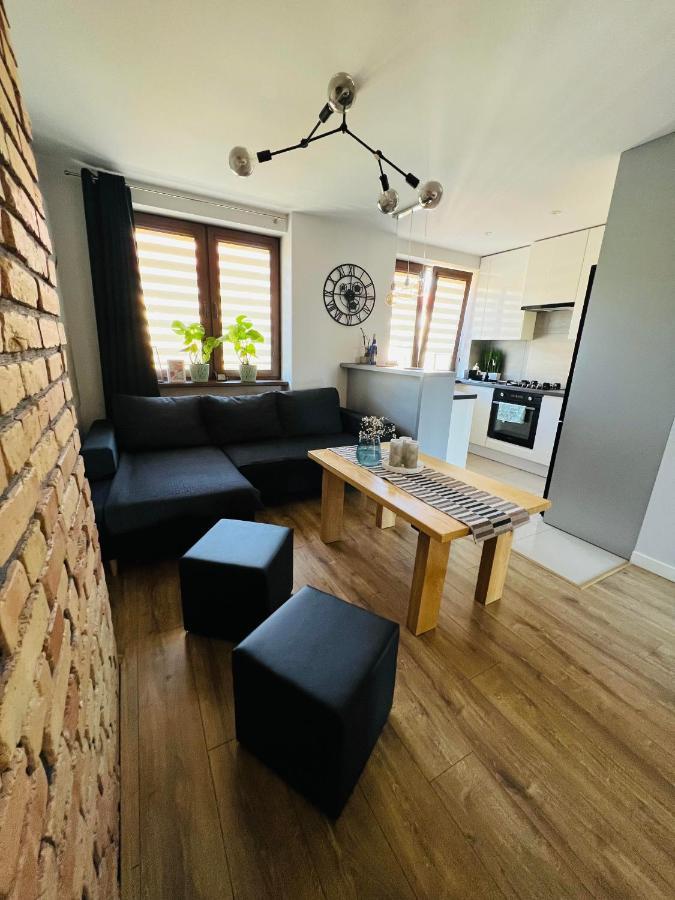 Апартаменти Apartament Bieszczady Устрики-Долішні Екстер'єр фото